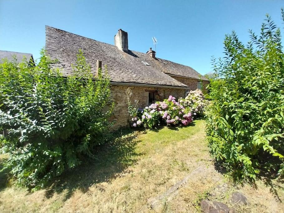 Maison En Pierres Pradinas Exterior foto